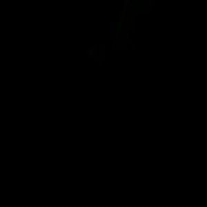 Meet your Posher, Toddejah